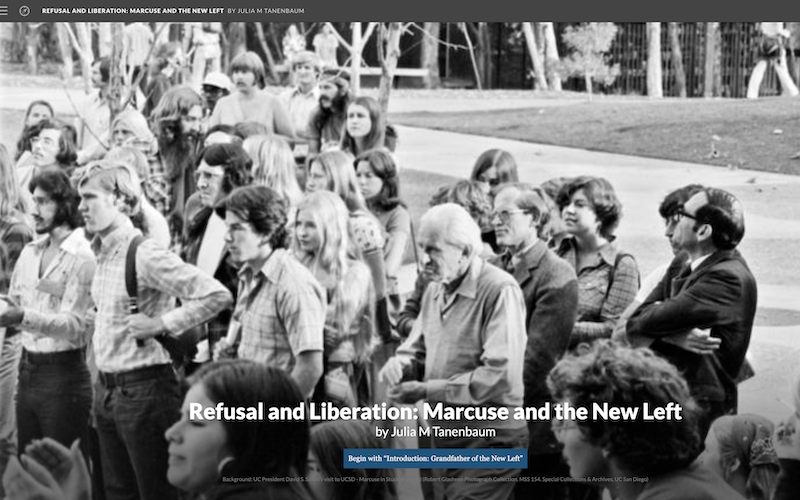 Screen Shot 2021-07-30 at 8.52.59 PM